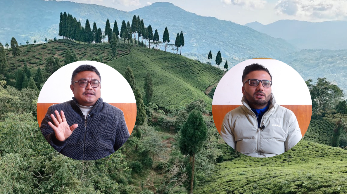 चिया निर्यातका लागि  नगद प्रोत्साहन रोक्ने सरकारको निर्णयले चिया उद्योगी चिन्तितः  हजारौँ किसान र मजदुर जोखिममा